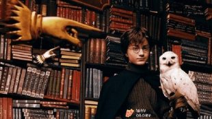 Harry Potter e livros