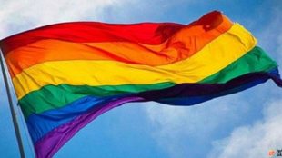 Internautas celebram o Dia Internacional Contra a LGBTfobia