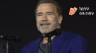 Arnold Schwarzenegger se envolve em grave acidente de carro