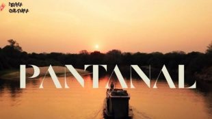 Globo divulga primeiro trailer maravilhoso de 'Pantanal'