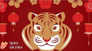 Ano Novo Chinês: entenda as figurinhas de tigre disponíveis no Instagram