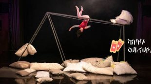16ª edição do 'Festival de Circo do Brasil' acontece de 15 a 20 de novembro